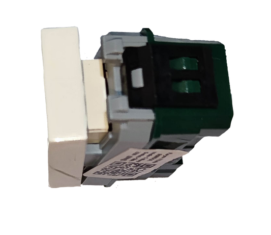 Royu 1 Gang 1 way switch 10A 250V in green and white for seamless electrical control