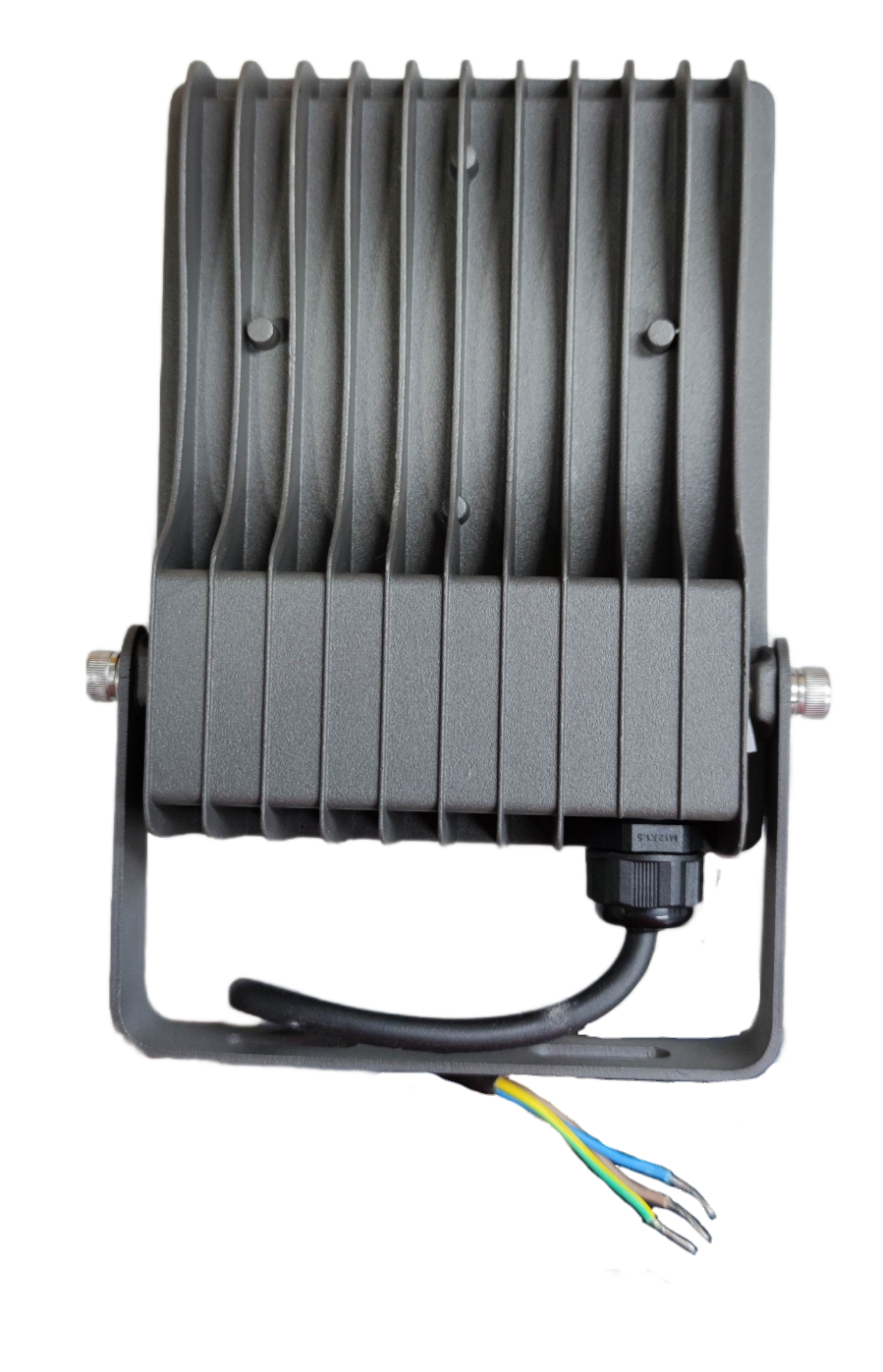 Firefly 30W LED Floodlight 220V Daylight