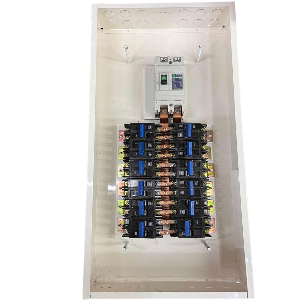 Koten & Taiyou Panel Board 225A 250SP 2Pole Main with 12 Branches 2 Pole Bolt On