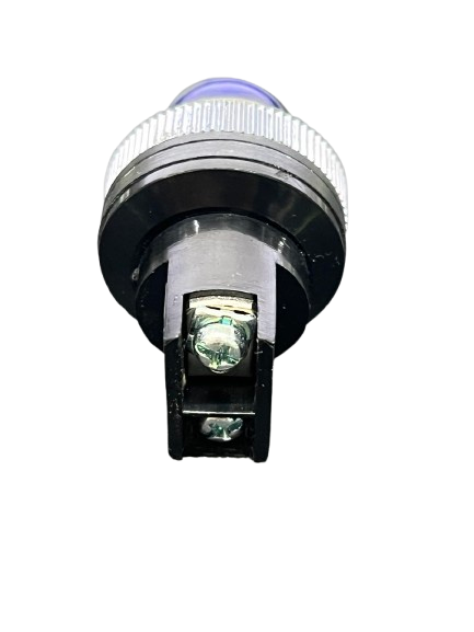 Auspicious Pilot Lamp 25mm Neon Light 220V BLUE