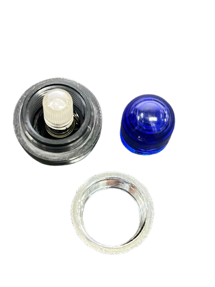 Auspicious Pilot Lamp 25mm Neon Light 220V BLUE