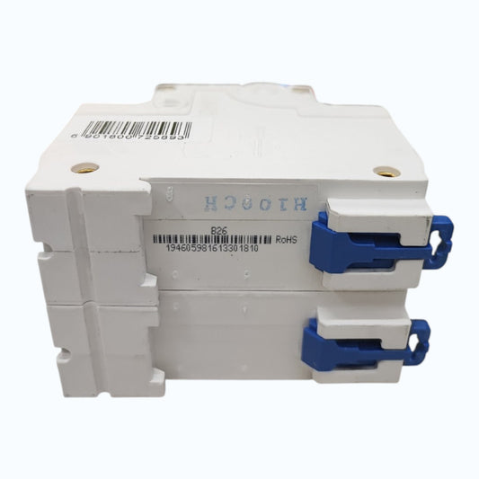 Chint 100A 2Pole Single Phase 10 KAIC 220V Miniature Circuit Breaker