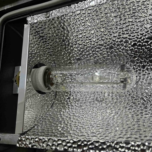 Firefly 70W Metal Halide Flood Light with 70W Metal Halide Bulb