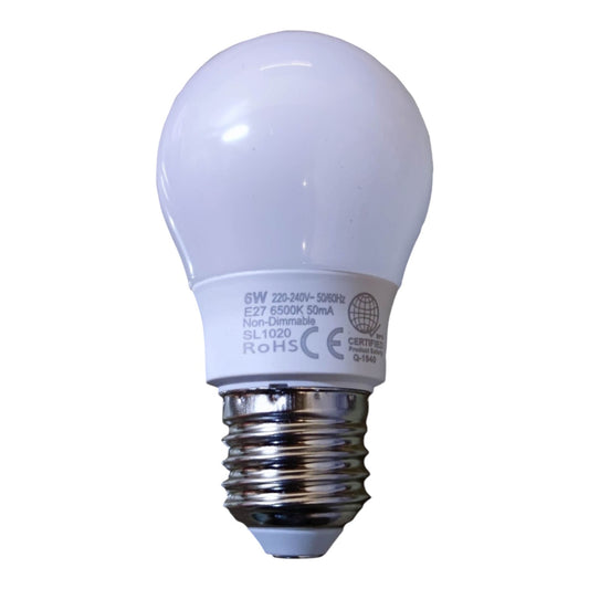 A 6W LED A19 bulb with a white frosted glass dome and a silver-colored metal screw base, shown against a plain white background.