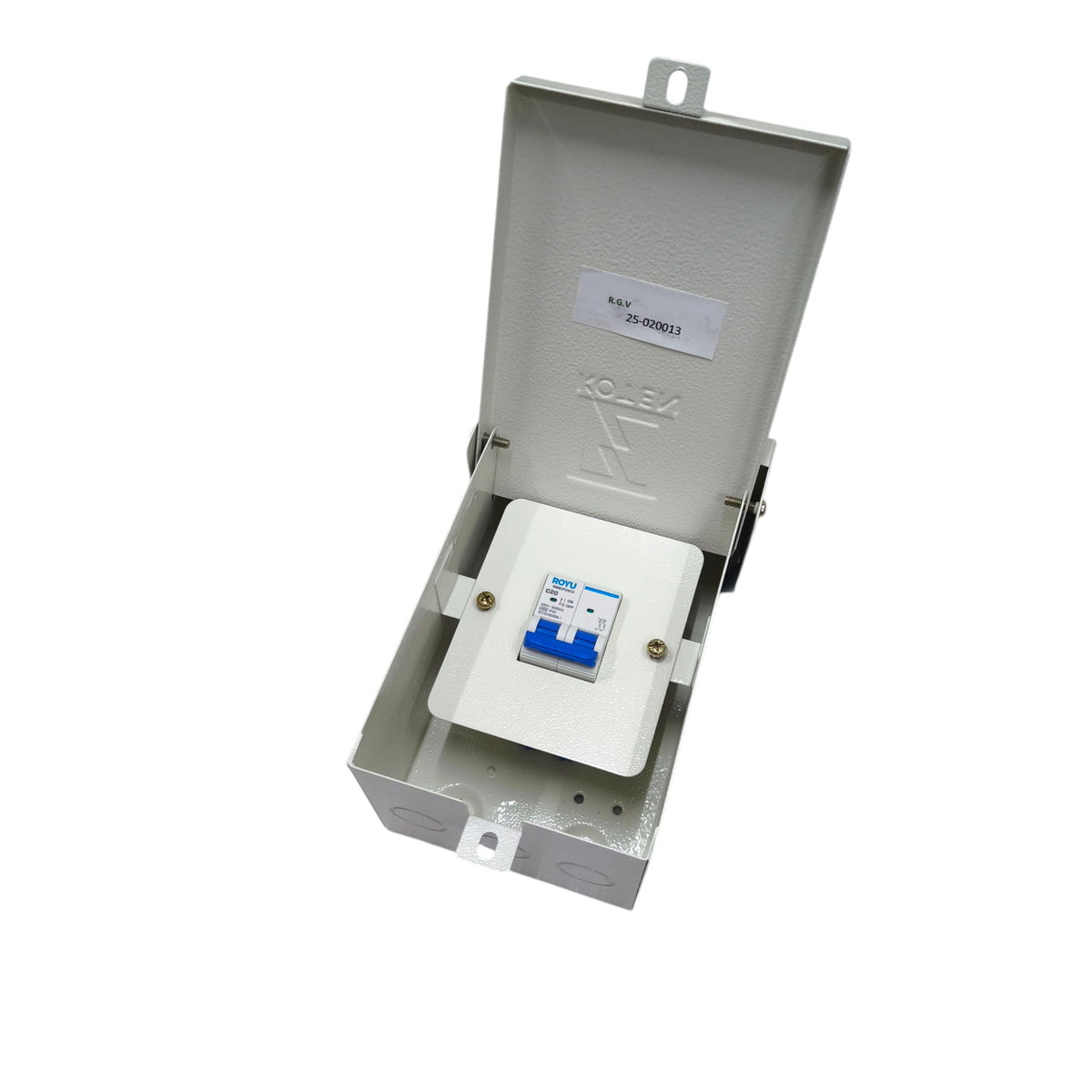 Royu 20A 2Pole 4.5KAIC 220V Miniature Circuit Breaker with Nema 3r Enclosure Outdoor RMB2P20C4