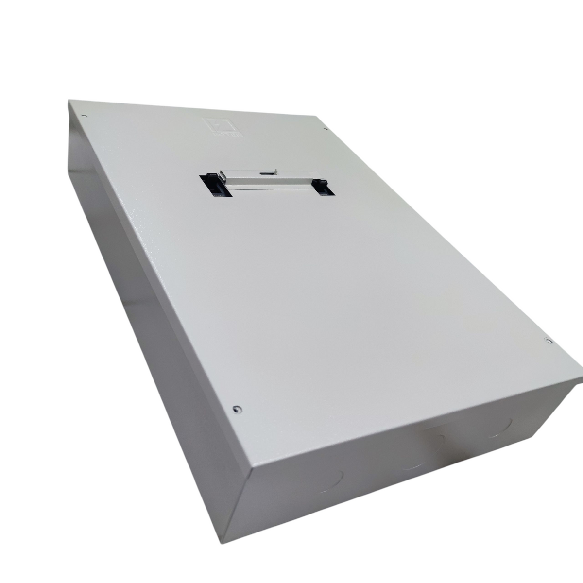 Schneider 125A MTS 3 Pole 36KAIC 220V with NEMA 1 Enclosure Manual Transfer Switch MTSPW250SP+2XEZC250H3125