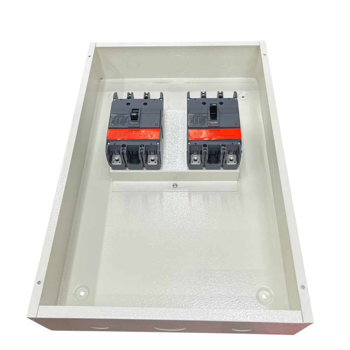 Schneider 225A MTS 2Pole with Nema 1 Enclosure 36KAIC 220V EZC250H2225