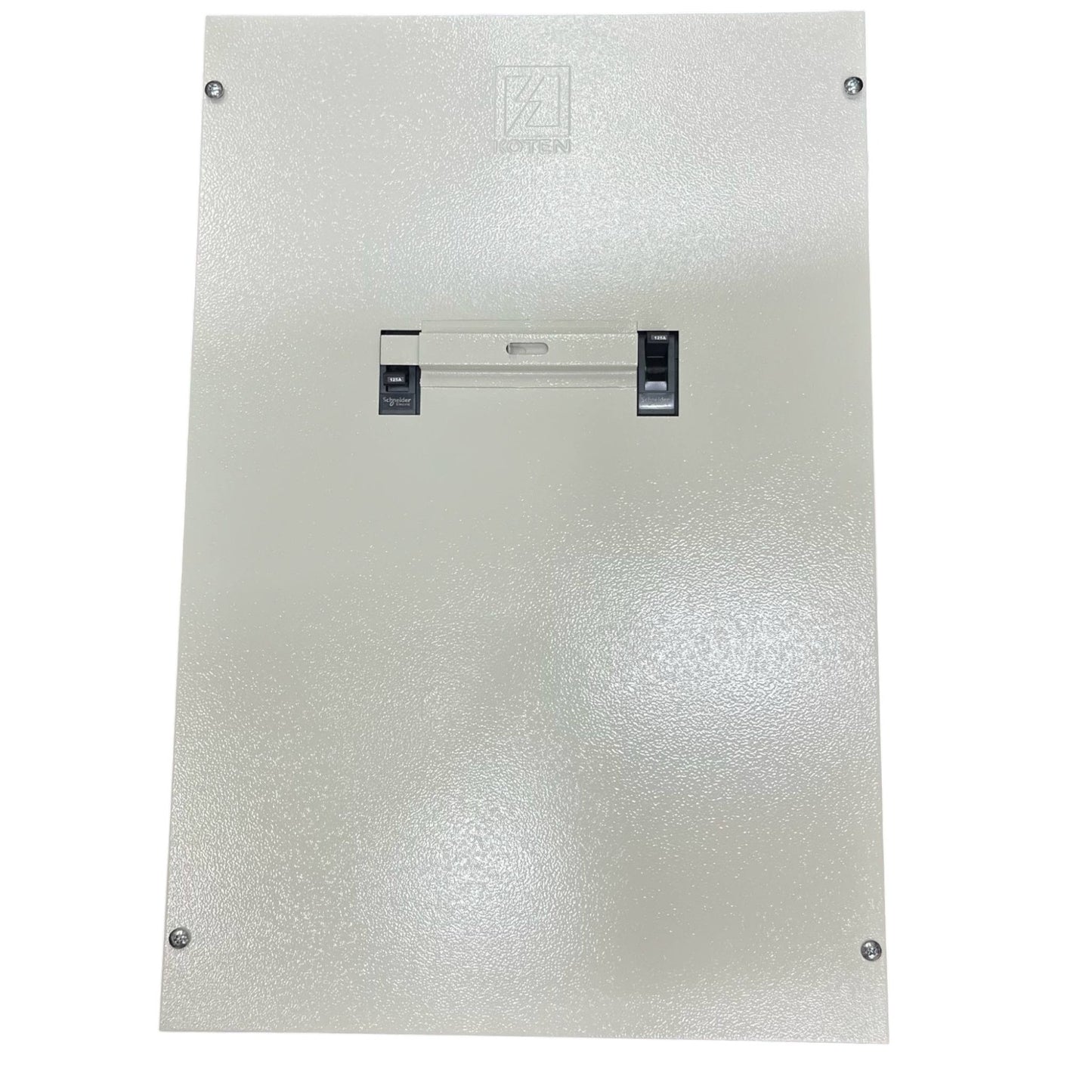 Schneider 250A MTS 2Pole with Nema 1 Enclosure 36KAIC 220V EZC250H2250