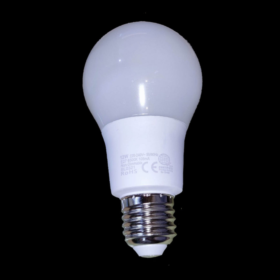 Omni 12W LED Bulb E27 220V A65 Available Warm White