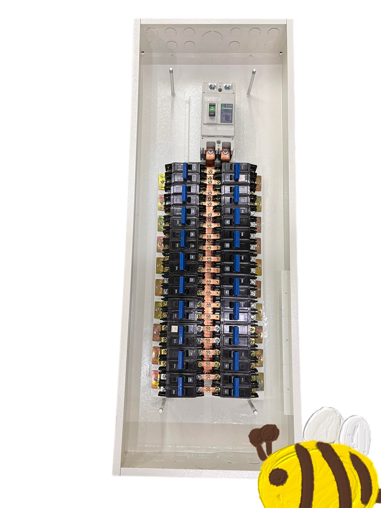 Koten & Taiyou Panel Board 250A 2Pole 250SPS Main 20 Branches 2 Pole Bolt On