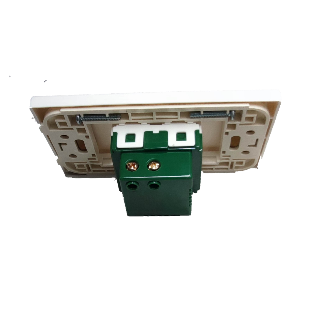 Omni 2 Gang USB Outlet 5V 2.1A with Plate Cover WUSB-002+WWP-111