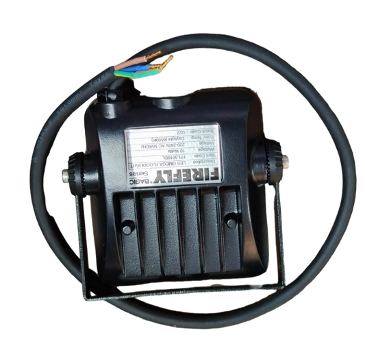 Firefly 10W LED Floodlight 220V Daylight 6500K FFL3010DL Omega Series Flood light