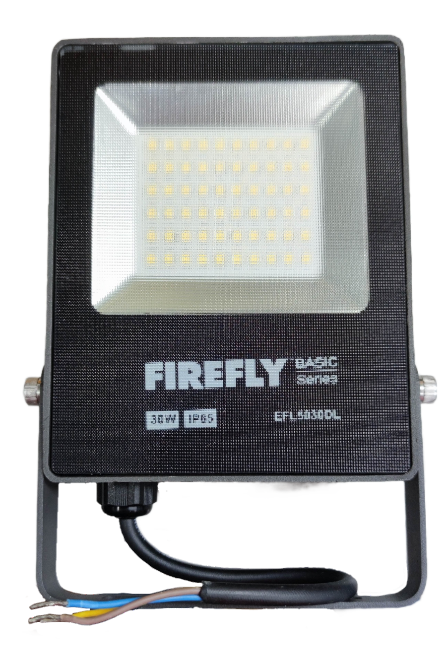Firefly 30W LED Floodlight 220V Daylight