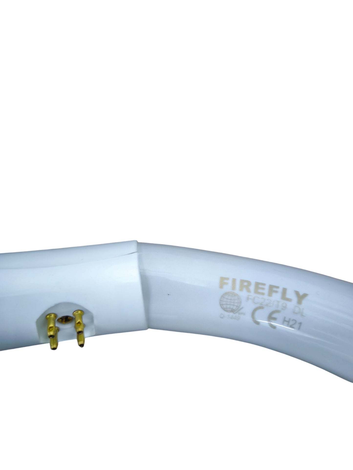 Firefly Circular Lamp 22W 6500K Daylight white circular fluorescent bulb close up showing gold pins and logo