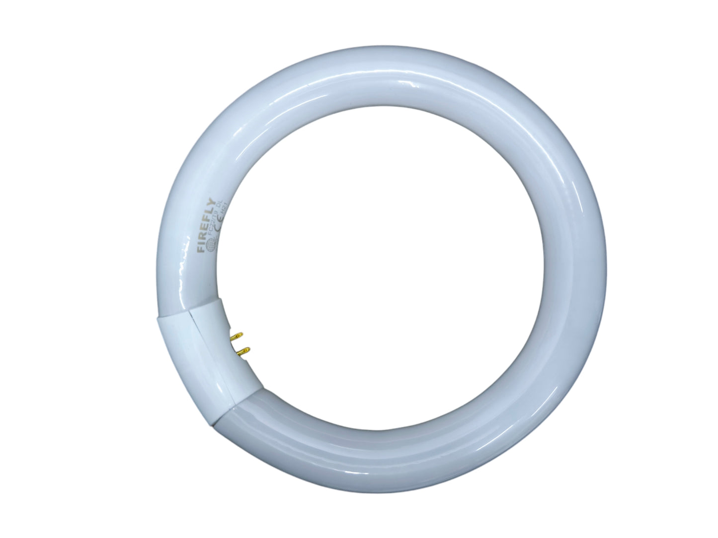 Firefly compact fluorescent circular bulb top view Circular Lamp 22W 6500K Daylight cool white ring tube
