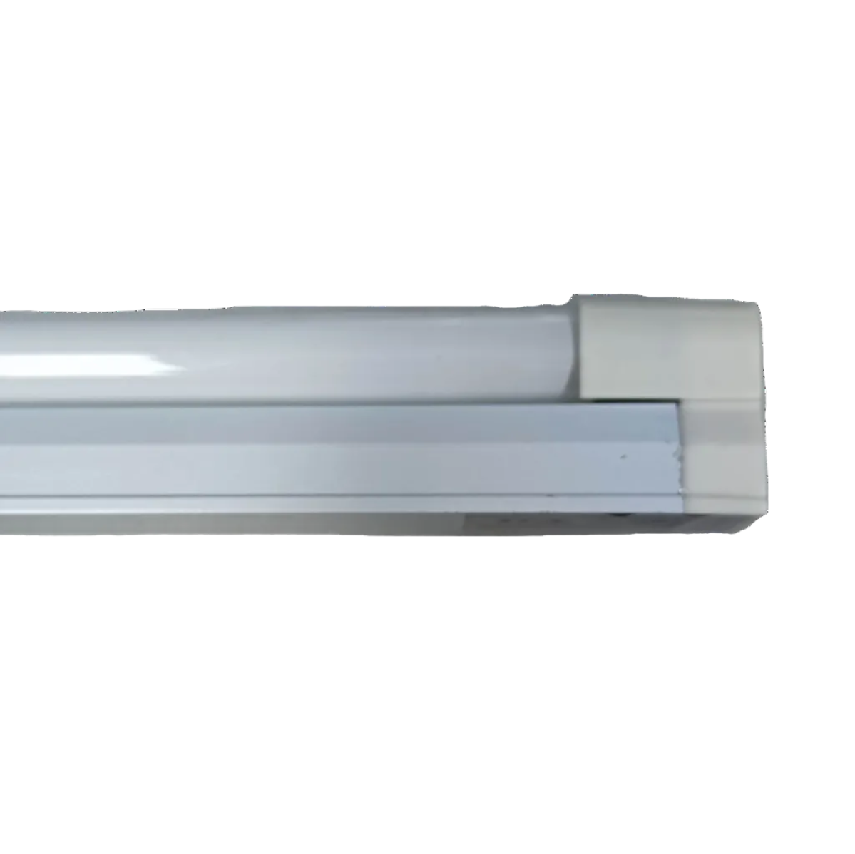 Firefly T5 fluorescent fixture set 21W with a sleek design for efficient lighting