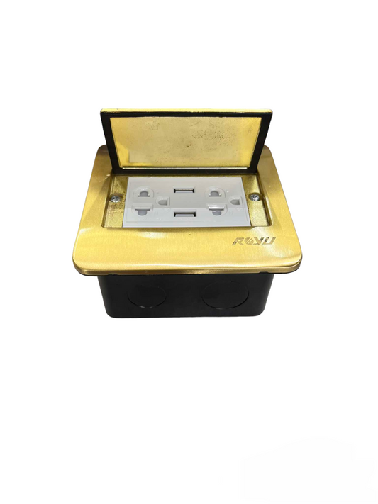 Royu Floor Outlet Duplex Universal with Ground in brass finish with hinged cover for floor installation