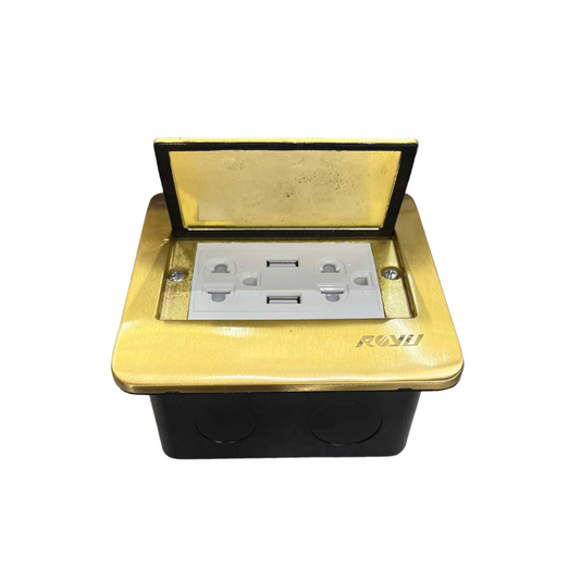 Royu Floor Outlet Duplex Universal with Ground in brass finish with hinged cover for floor installation