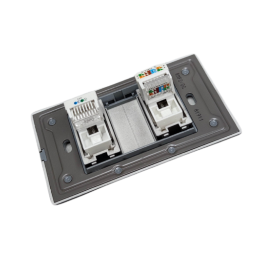 Royu 2 Gang Telephone and LAN Outlet with dual ports for network and telephone connections