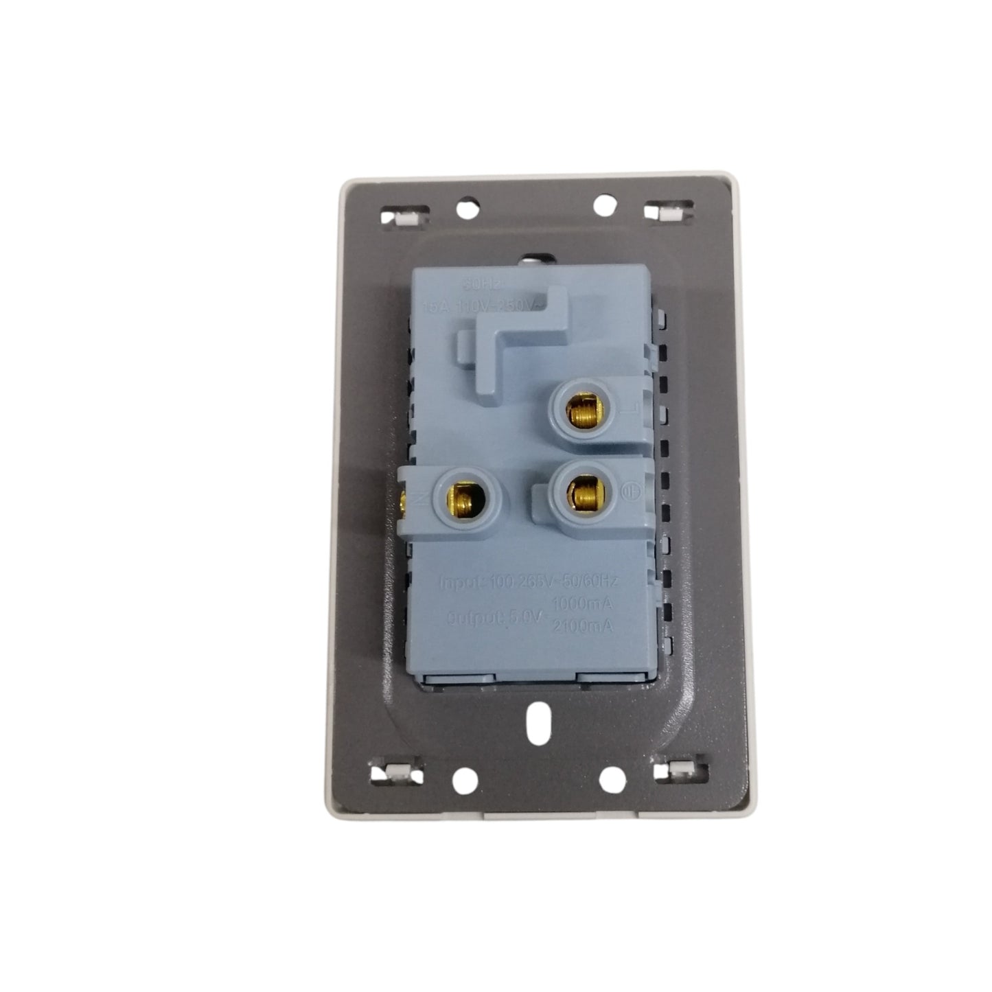 Grazen 2 gang outlet with USB-C and USB-A showing back wiring terminals