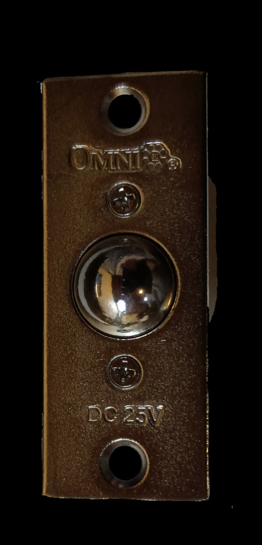 Omni metal door jamb switch with chrome plunger and mounting holes Door Switch DC24V 5A 250V