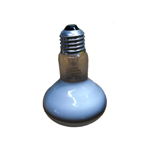 Electx Electrical Supply 40W Spot Light R80 E27 220V incandescent bulb with silver screw base