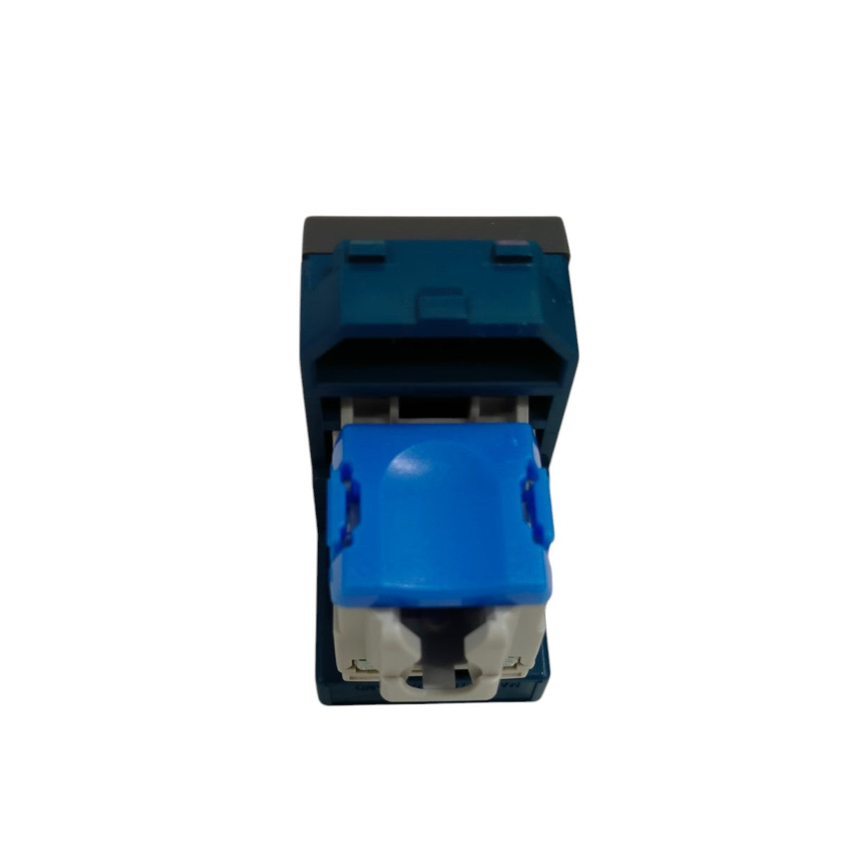 Panasonic Powerline Network Adapter with CAT6 Data Modular Box Rj45 for high-speed internet connectivity