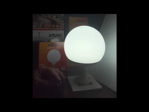 Shuta Globe LED Bulb E27 30W 180-265V AC LM 2700 Daylight 6500K