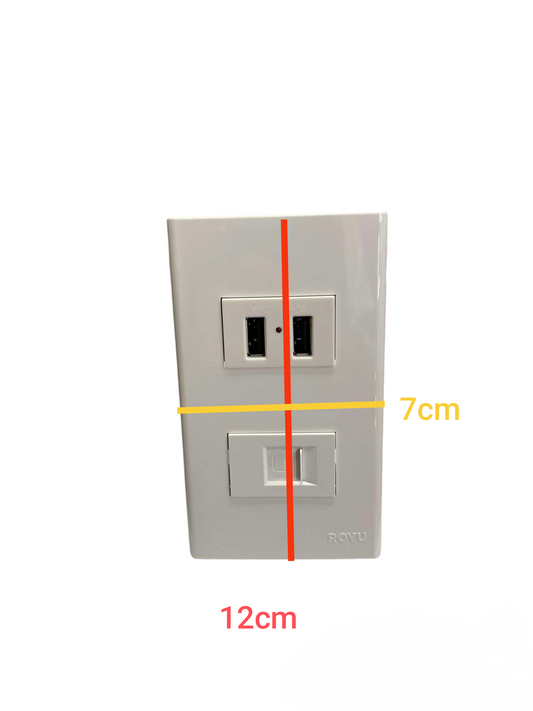 Royu white wall plate with USB 2 Port 2100mAh 5V and LAN Outlet top dual USB ports and bottom LAN socket 12 cm wide 7 cm tall
