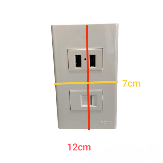 Royu white wall plate with USB 2 Port 2100mAh 5V and LAN Outlet top dual USB ports and bottom LAN socket 12 cm wide 7 cm tall
