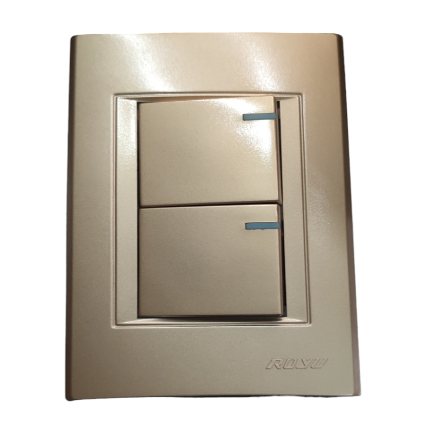 Royu Switch Flush Type 1 Way 10A 250V beige double rocker switch with flush design