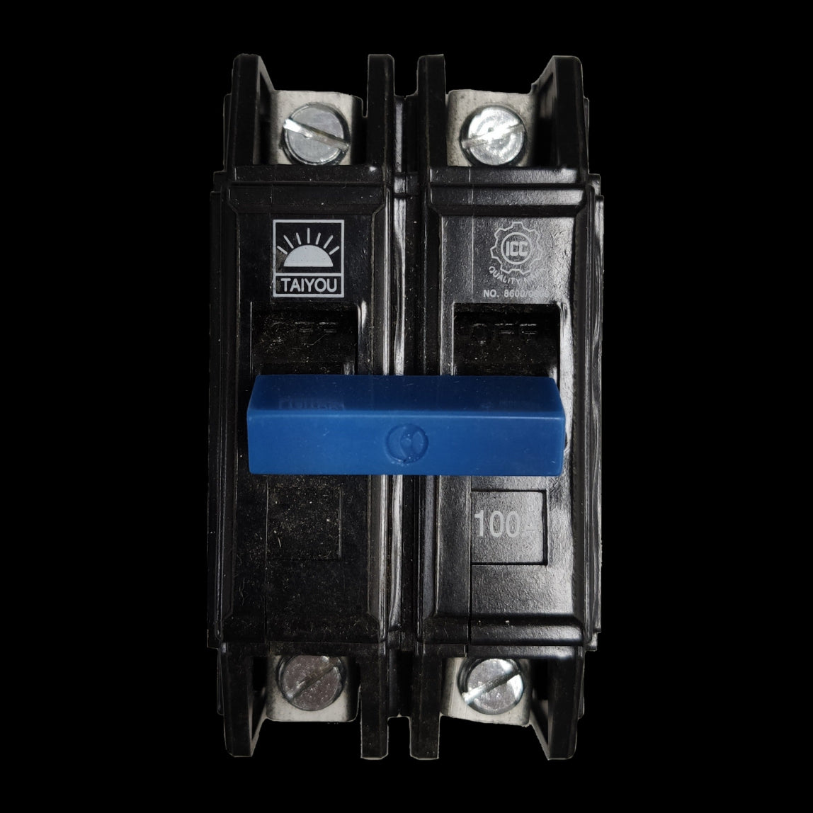 Taiyou 100A 2 pole circuit breaker with blue switch and black casing for electrical protection