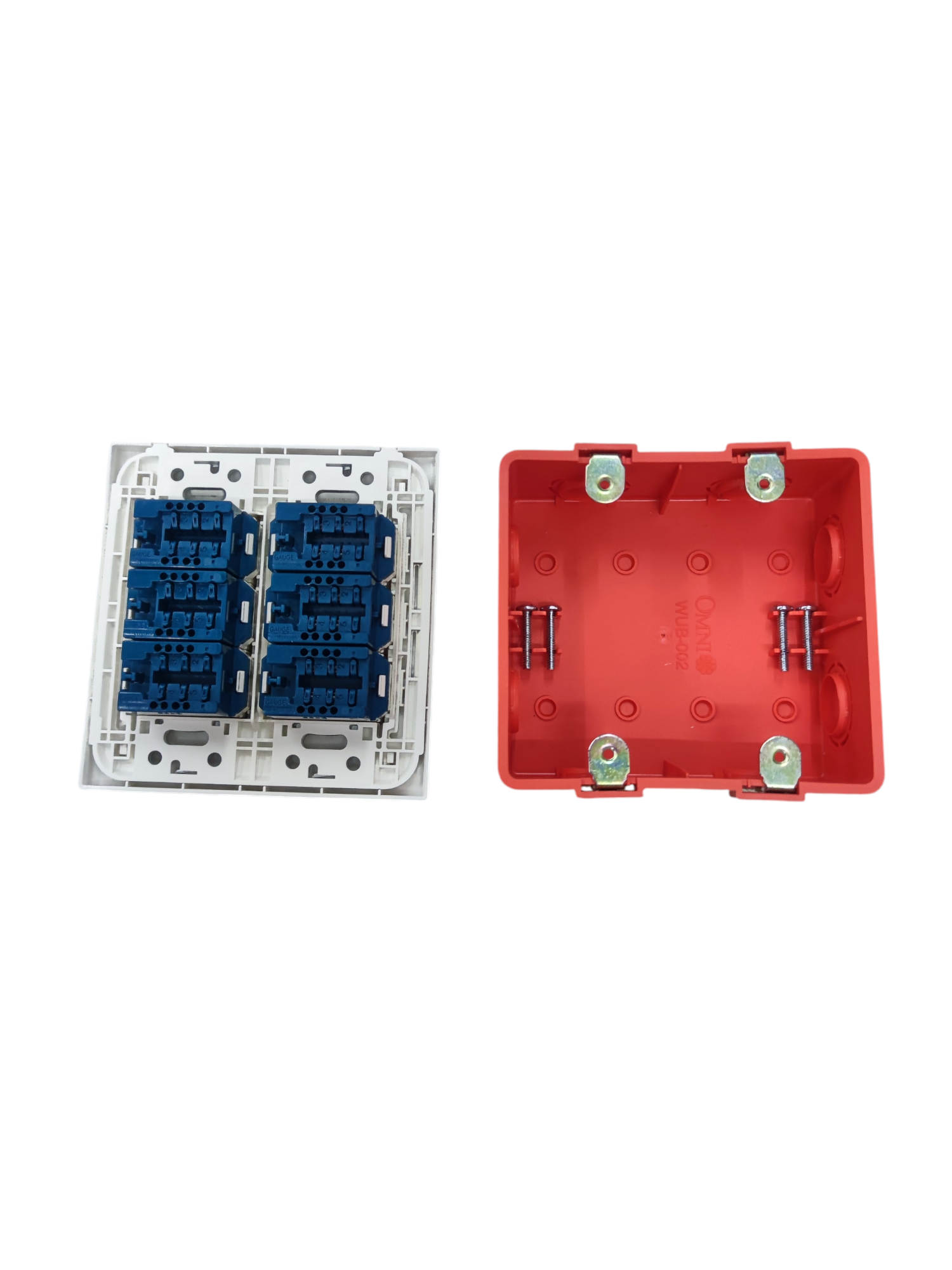 Panasonic 6 Gang Telephone Outlet 4C white faceplate with blue connector modules and red mounting box