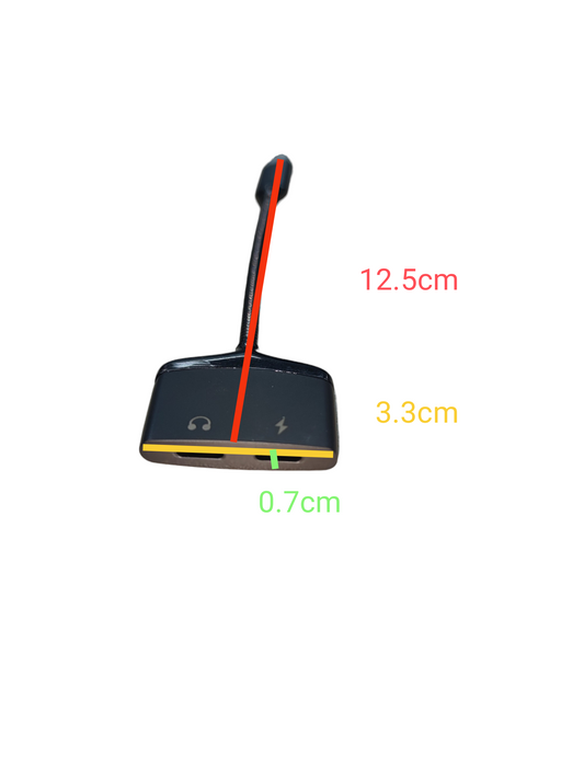 Compact USB-C Earphone and Charging Port adapter with dual slots for audio and power