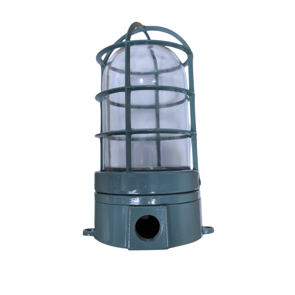 VPL Vapor Lamp E27 with Glass Cover and protective metal cage for lighting installation accessories