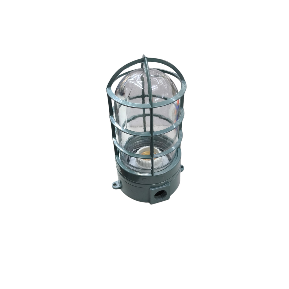 VPL Vapor Lamp E27 with Glass Cover and protective metal cage for lighting installation