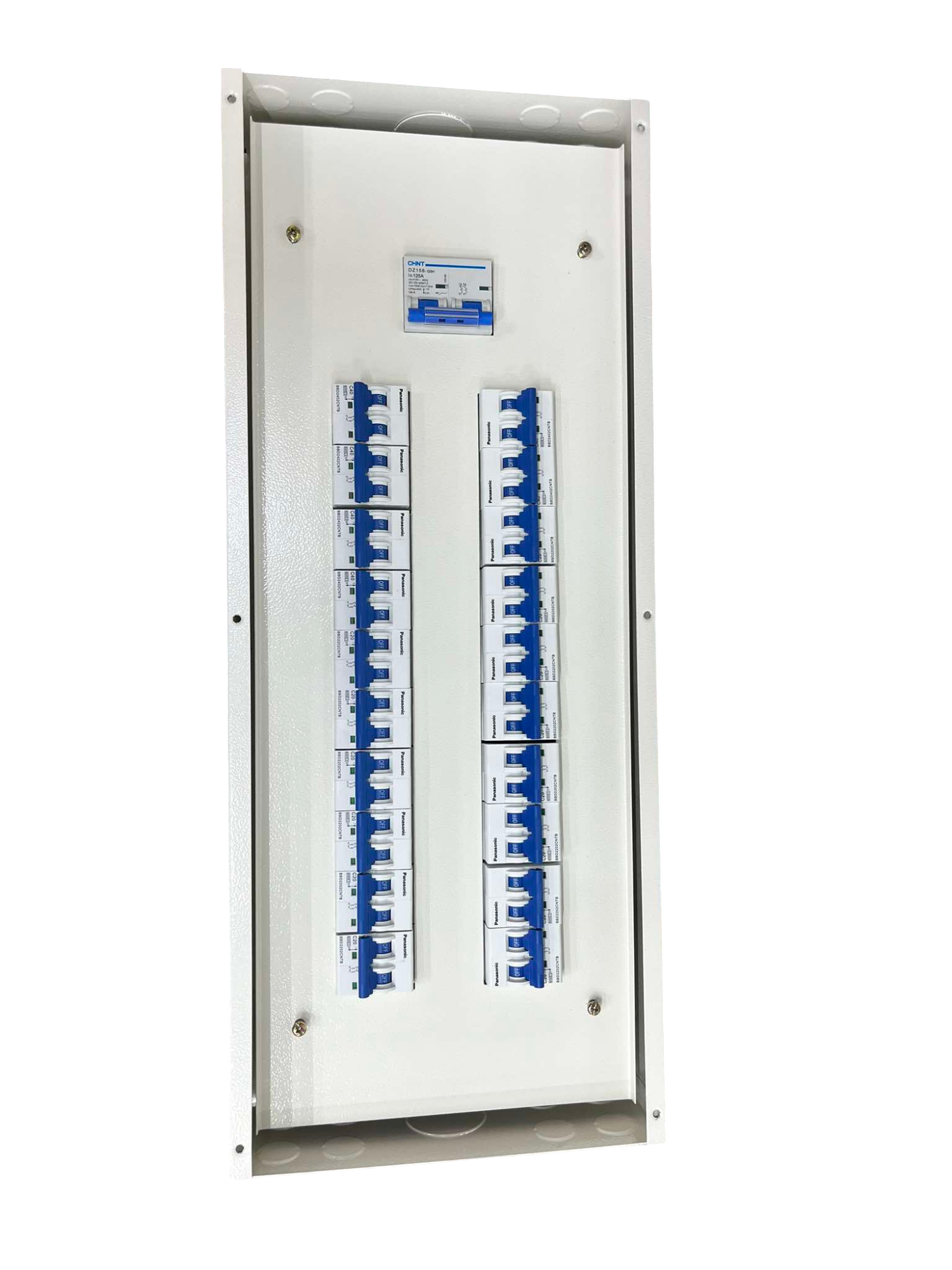 Chint 100A panel board with main breaker and multiple circuit slots for electrical distribution
