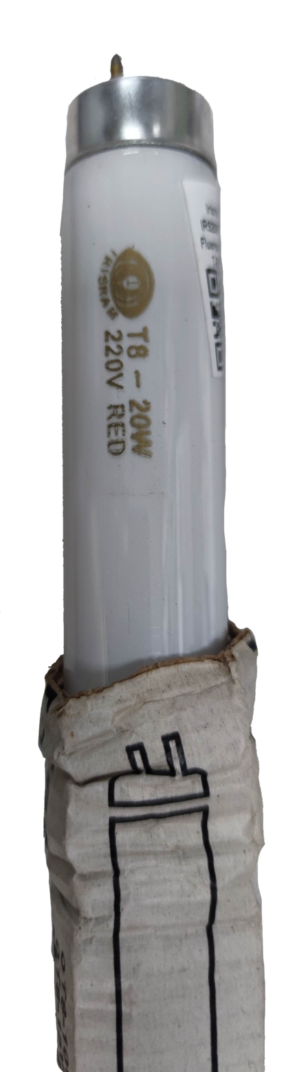 Irisram 18W T-8 Fluorescent Tube Red, T8 18W Fluorescent Tube Red in Color