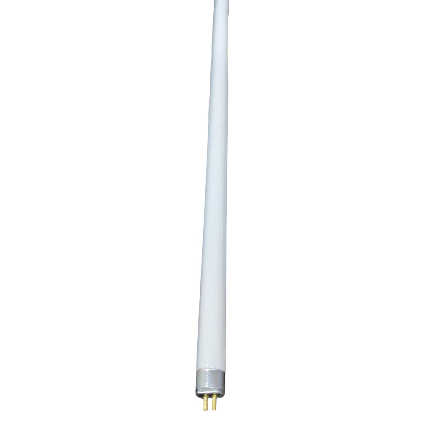 T8 LED tube light on a white background