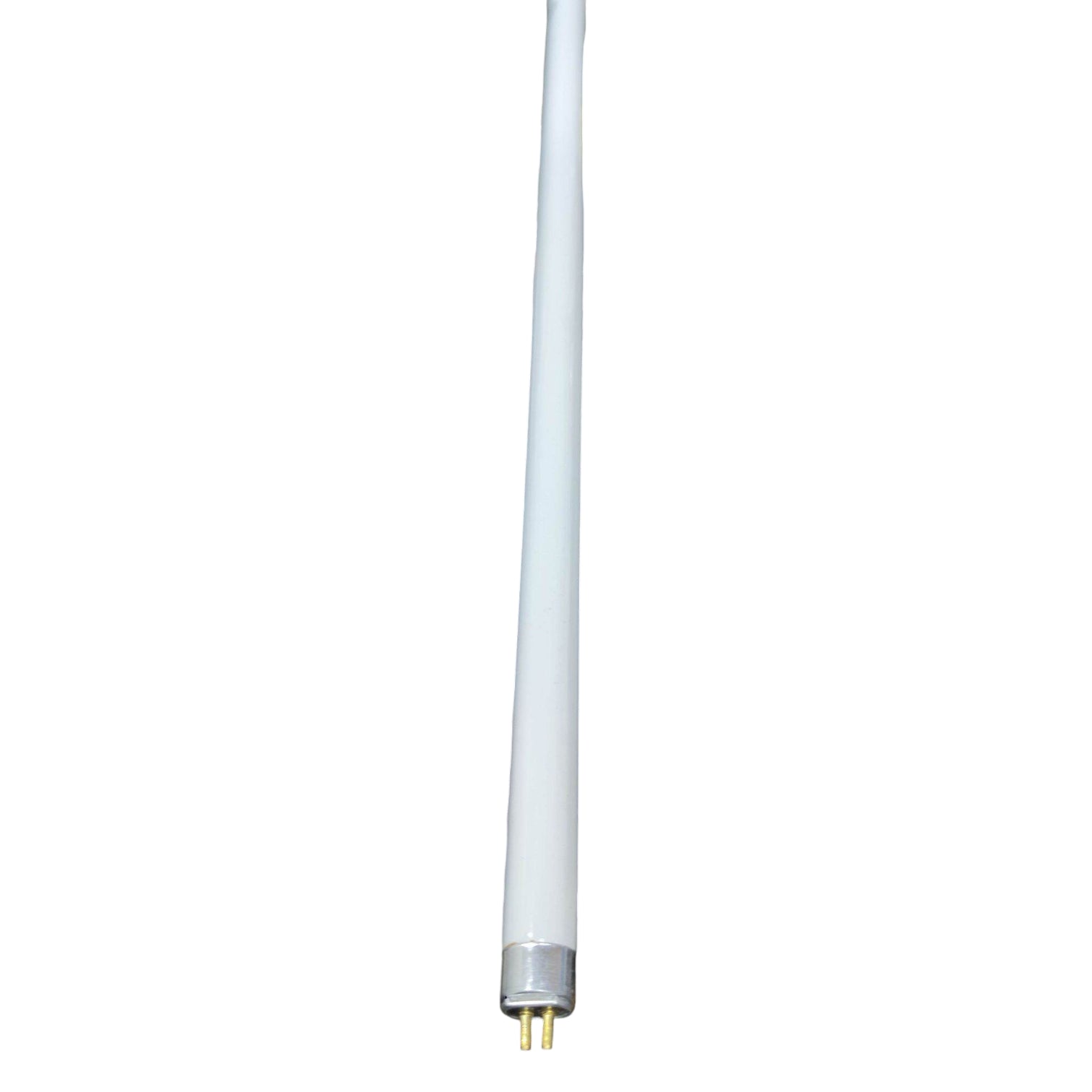 T8 LED tube light on a white background