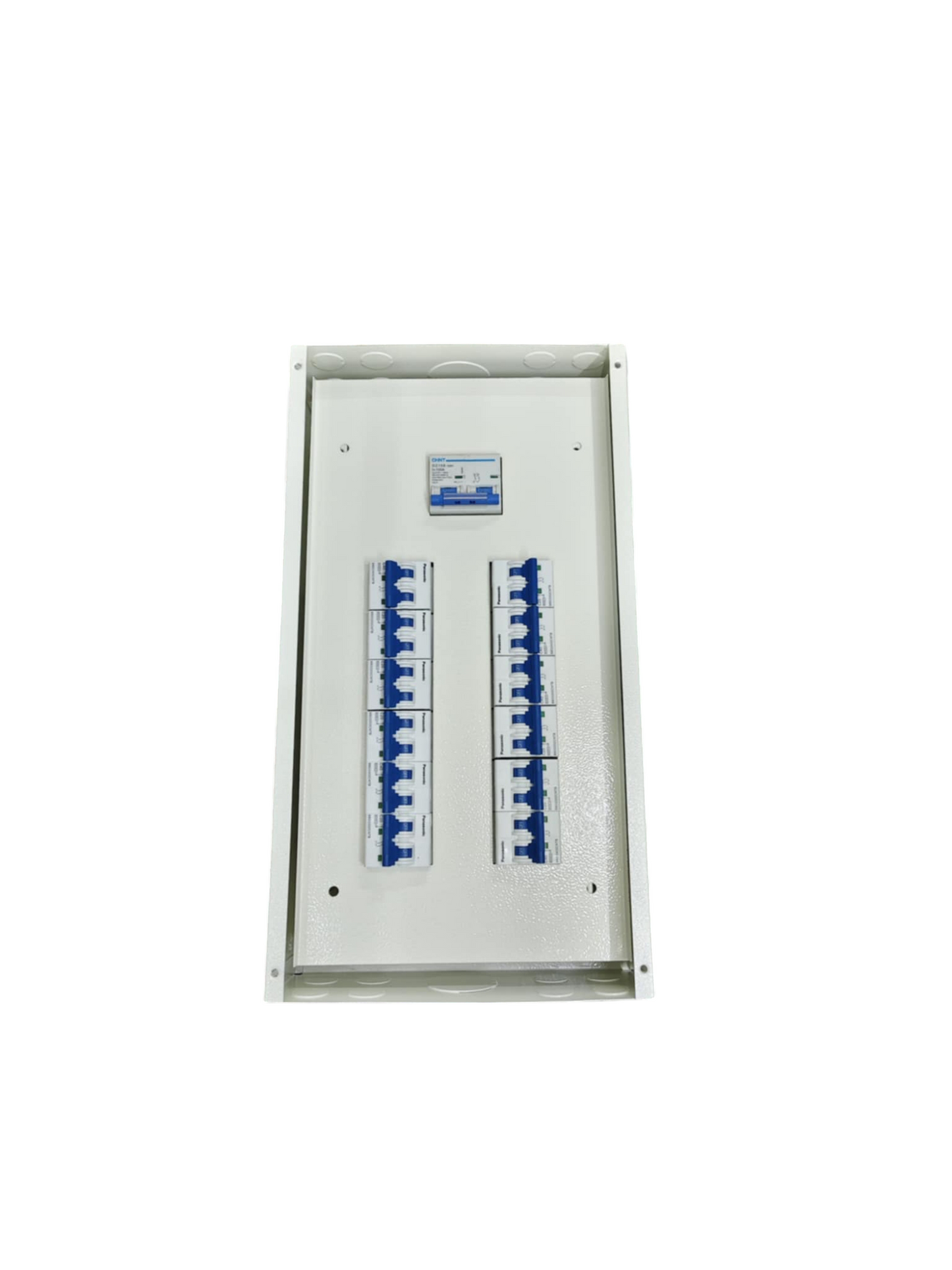 Panel Board 100A 2Pole Main Chint Miniature Circuit Breaker Metal with 12 Branches 2 Pole (Panasonic)