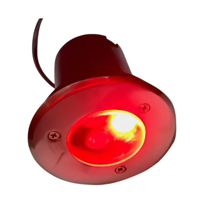 Red light bulb on a white background