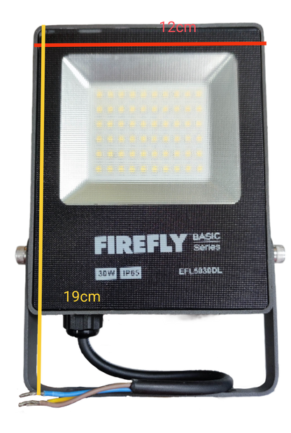 Firefly 30W LED Floodlight 220V Daylight