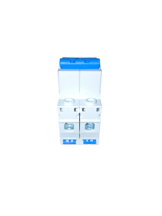 Chint 2A Miniature Circuit Breaker 6KAIC 220V NXB-63 C2