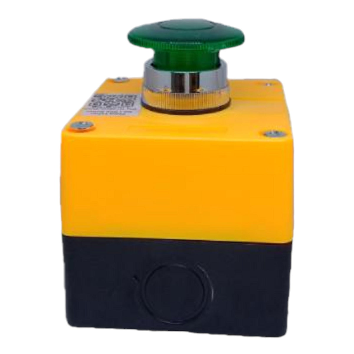Auspicious Illuminated Switch 22mm 3A 220V Emergency Push Button Green 1NO with Surface Type Box Electx Electrical Supply