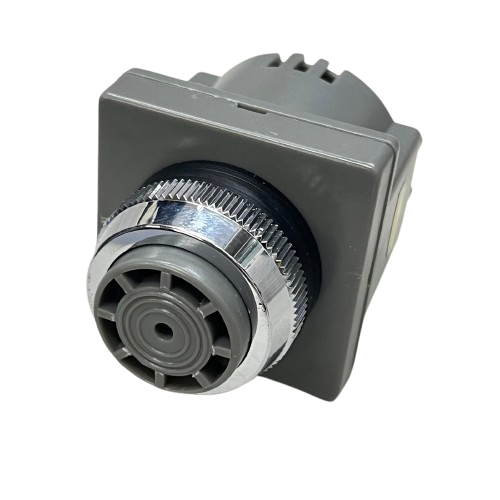 Auspicious Industrial Panel Buzzer 30mm 110V