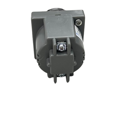 Auspicious Industrial Panel Buzzer 30mm 220V