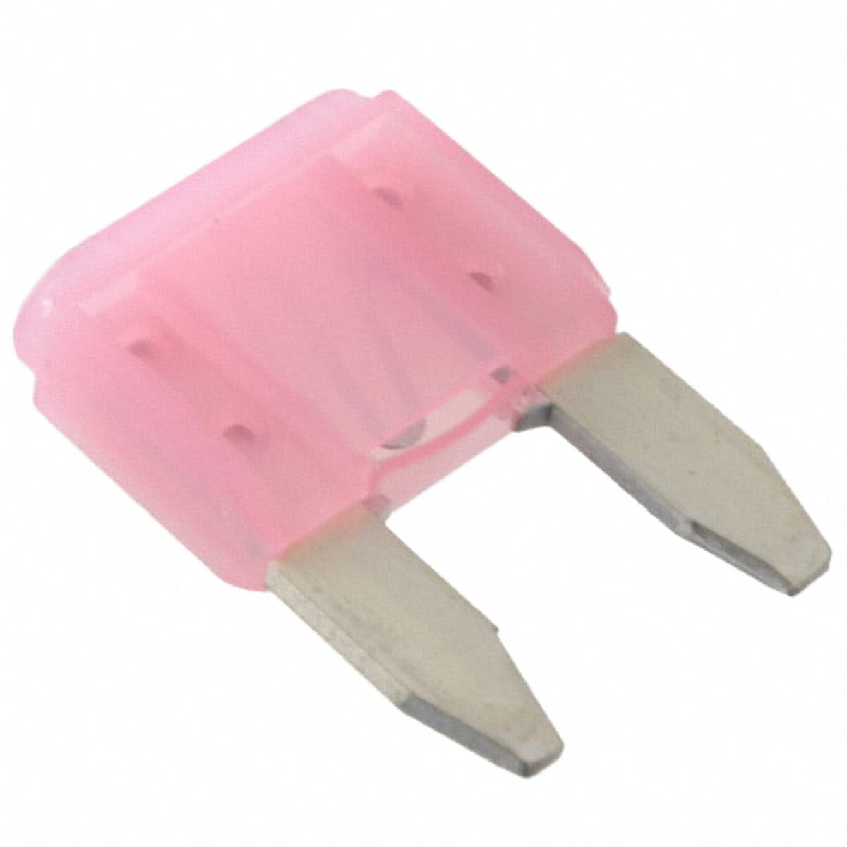 Automotive Mini Blade Fuse 4A 32V - Pink - Electx Electrical Supply