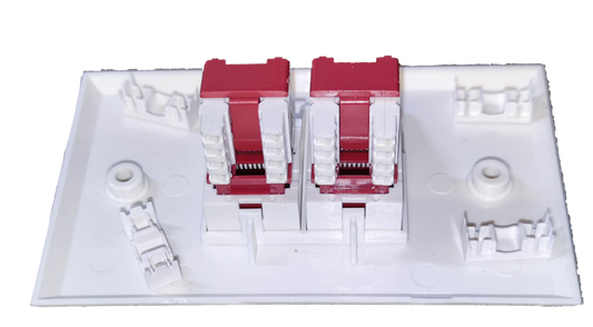 Belkin 2 gang Cat 6 LAN outlet white wall plate with two red LAN ports for high-speed network connections