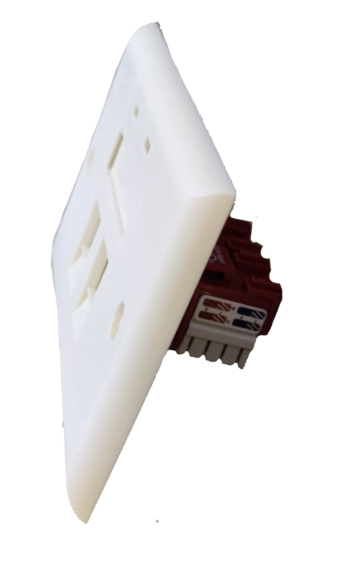 Belkin 2 gang Cat 6 LAN outlet with white faceplate and network cable connectors